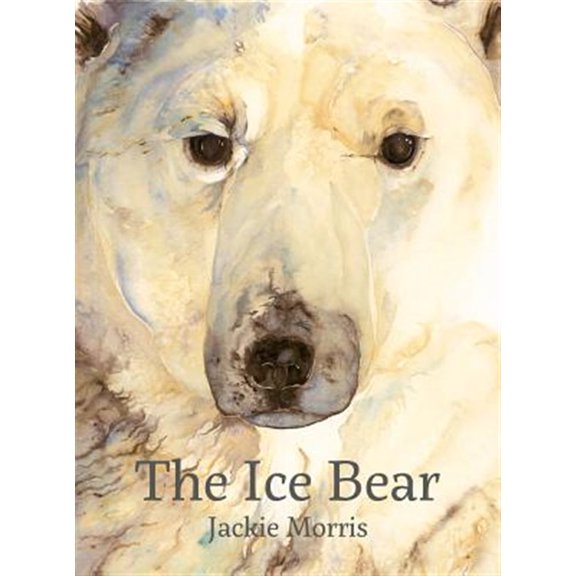 Pre-Owned The Ice Bear (Hardcover)