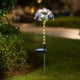 thumbnail image 4 of Guirnalda de Luces Led Solares con Forma de Flor para Jardín | Wxh250403004 Lámpara Solar Impermeable para Exteriores, para Borde de Jardín | Modos de Parpadeo y Constante Multicolor | Batería de 12, 4 of 6