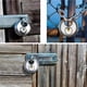 thumbnail image 4 of Fiudx Candado de Acero Inoxidable, Candado de Disco de Alta Seguridad, Candado de Cadena Inoxidable, Diseño de Arco Reforzado, Uso En Interiores y Exteriores, Unidades de Almacenamiento, Garajes, Rem, 4 of 6