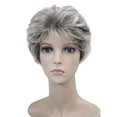 thumbnail image 2 of Perruques Courtes Bouclées de Haute Qualité pour Femmes, Perruque Ondulée Synthétique Sans Capuchon (48T Gris Pâle avec Racine Foncée) 48T Gris Pâle avec Racine Foncée - Convient à une Variété d'Exigences de Jardinage, 2 of 4