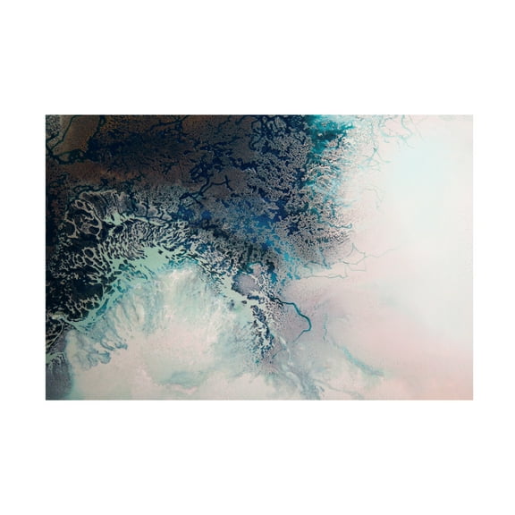 Canvas Wall Art - Petra Meikle de Vlas 'Intricacy' Wall Art for Living Room, Bedroom, or Office Décor by Trademark Fine Art - 19 x 12 Inches