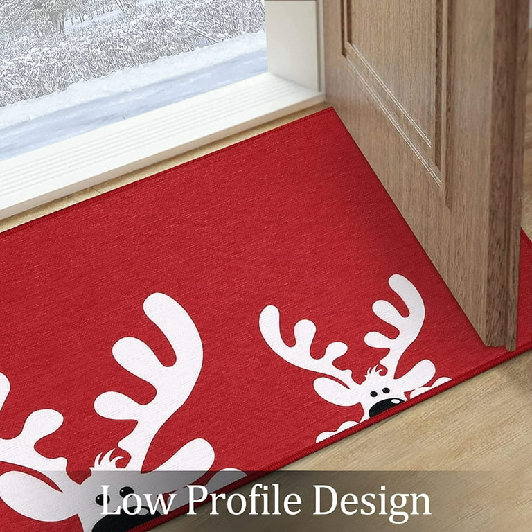 Christmas Door Mat, Outdoor Doormat, Indoor Mat, Floor Mat, Entry