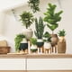 thumbnail image 1 of Decoración del hogar, decoración de habitaciones, decoración de paredes, plantas verdes y amigables, dormitorio, sala de estar, decoración de fondo del hogar, pegatinas de pared, calcomanía de papel a, 1 of 6