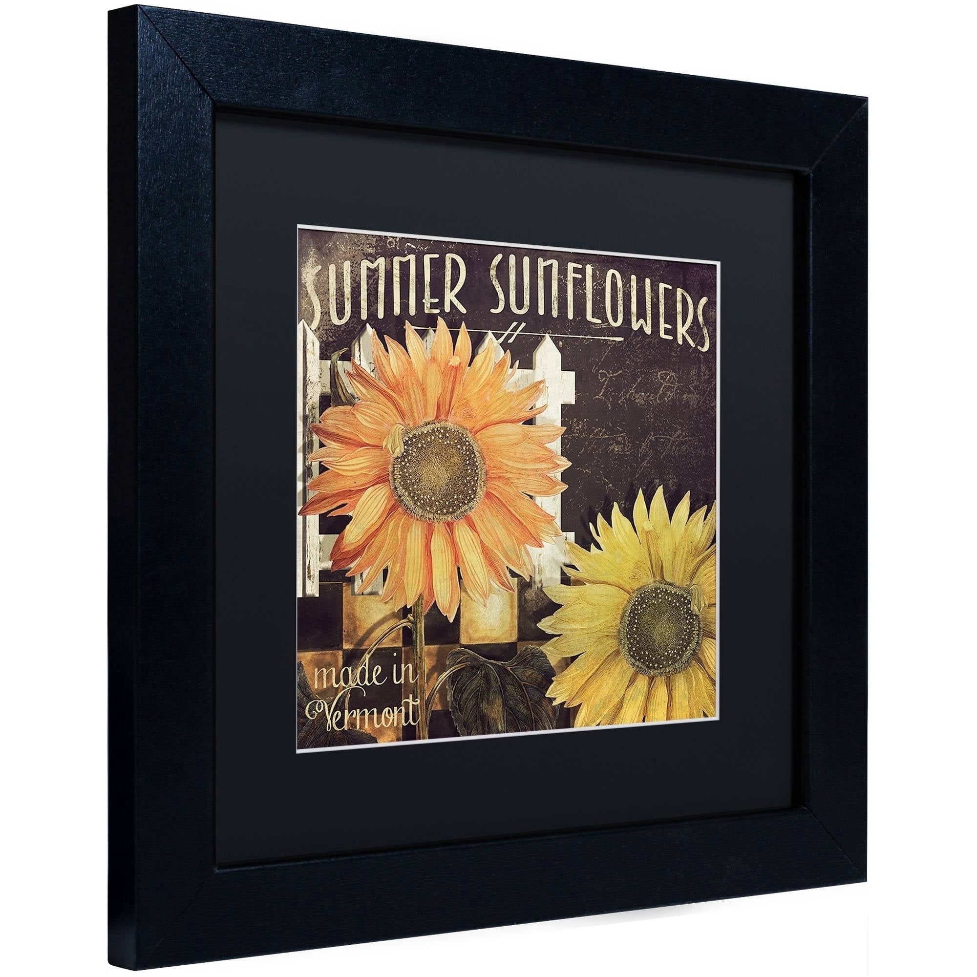 Trademark Fine Art "Vermont Farms XI" Canvas Art by Color Bakery Black Matte, Black Frame