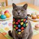 thumbnail image 1 of Pañuelo triangular de poliéster con forma de huevo de Pascua para mascotas, babero festivo para gatos y perros, ideal como accesorio fotográfico y decoración para fiestas de Pascua., 1 of 6