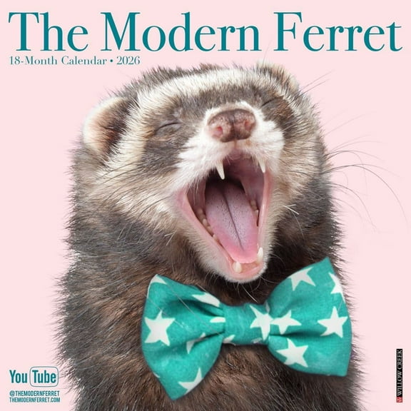 Willow Creek Press, Modern Ferret 2026 Wall Calendar, 12'' X 12'', 18-Month Calendar with Stapled Binding