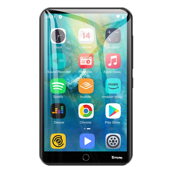 Reproductor De Música Mp3  Bloosom Mp4 Wifi Bluetooth Spotify Táctil, Negro