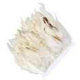 thumbnail image 3 of Youkk Feather Fringe Trim For Sewing Crafts Designs With Feathered Sophistication Natural And Safe Easy, 3 of 6