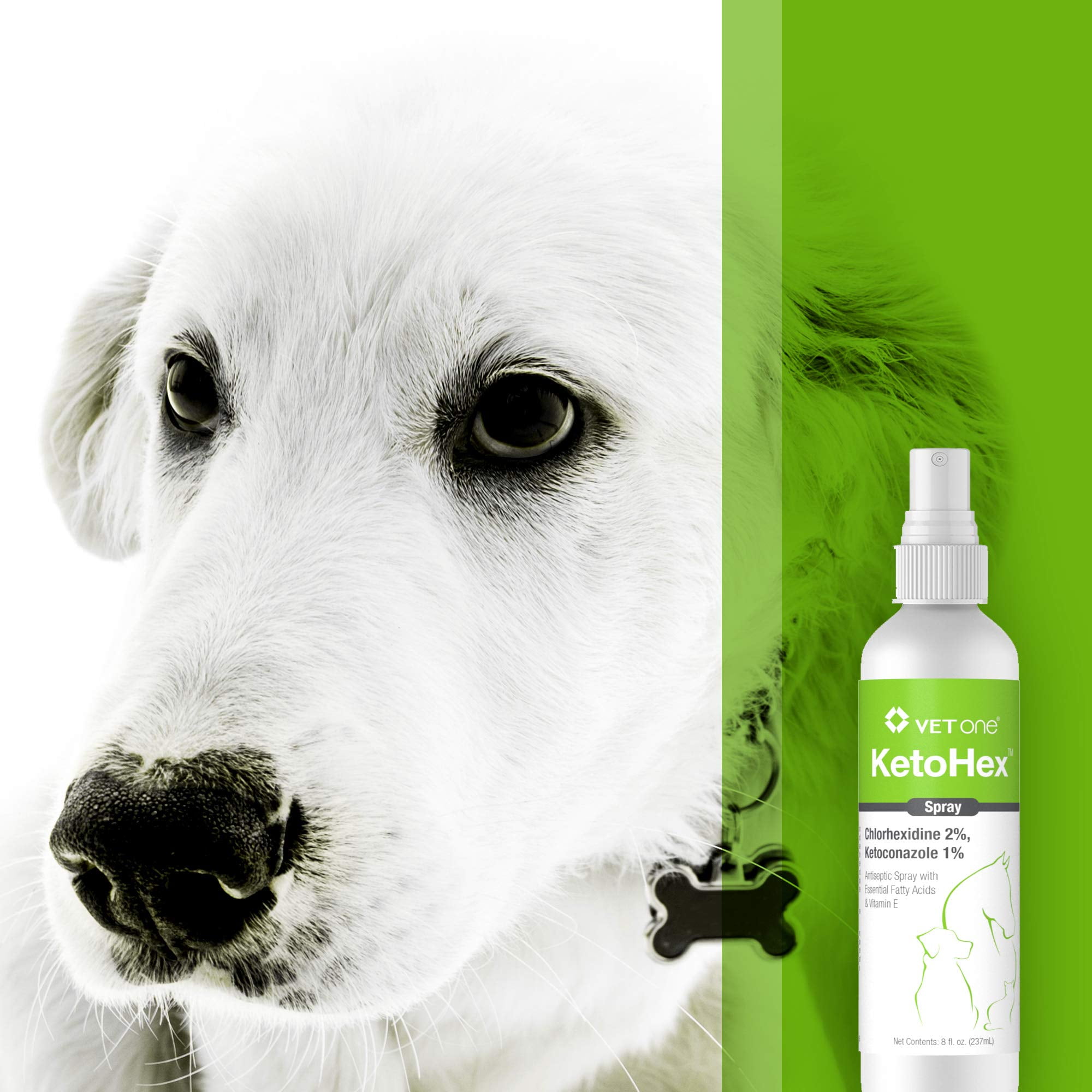 glutathione reductase Longer Lifespans and Better Health with Glutathione: Taking the Confusion  Out of the Master Antioxidant