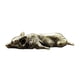thumbnail image 2 of Estatua pequeña de latón para cachorro de Corgi galés Soledad recuerdo en miniatura 8,2x3,1x1,5 cm, 2 of 9