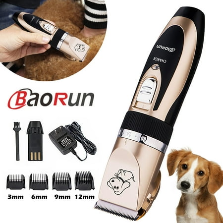 BAORUN Pro Quiet Mute Cordless Electric Cat Dog Hair Cutting Clipper Trimmer Shaver Grooming Set Pet Best (Best Clippers For Long Haired Dogs)