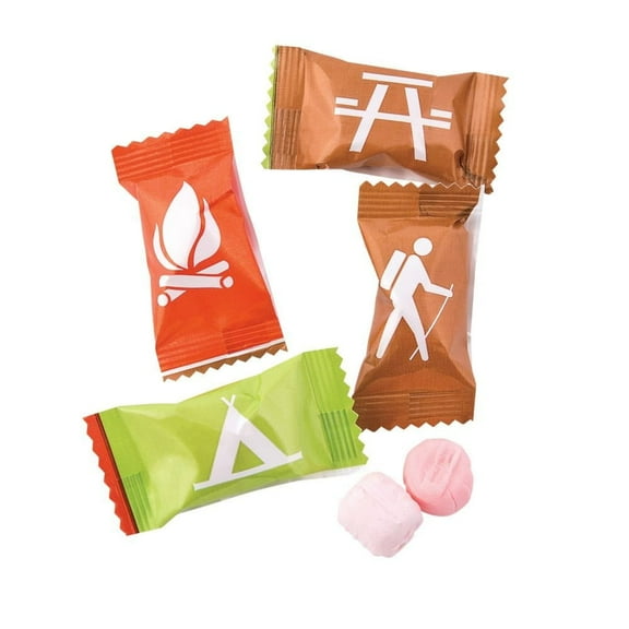 Fun Express Camping Party Sweet Creams Hard Candy – Delicious Assorted Flavors Wrapped for Outdoor Gatherings Picnics Camping Trips Parties – Perfect for Snack Stations Treat Bags & Favors – 20 Piece