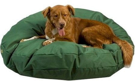 snoozer dog bed