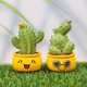 thumbnail image 5 of Bonito cactus decorativo de planta verde de escritorio, 4 mini artilugios de escritorio en maceta (Mini - Happy, Smiley, Cool, Nerd) TUNC Sencillez, 5 of 5