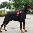 thumbnail image 5 of Pet Dogs Adjustable Harness Small and Large Dog Harness Vest 150cm Strong Dog Leash Pet Leashes Reflective Leash Drag Pull Tow, 5 of 5