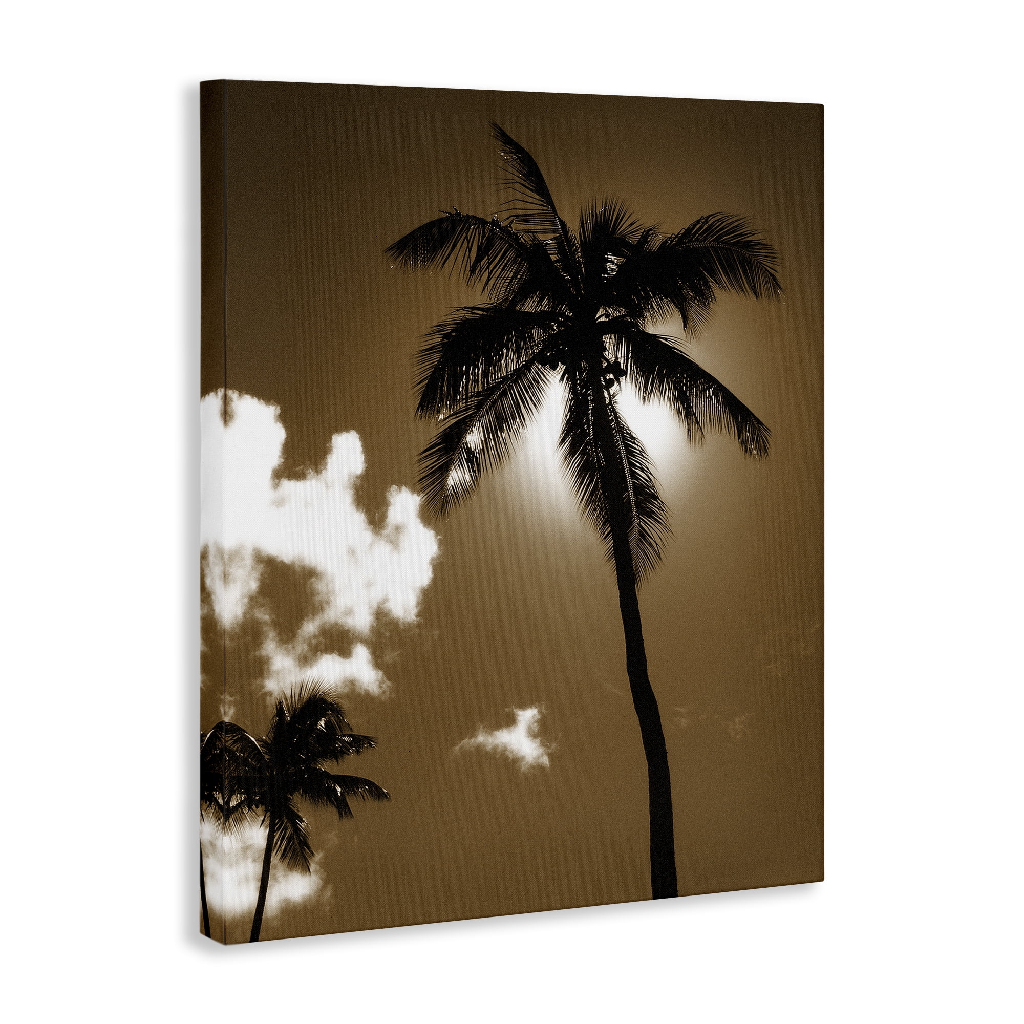 Stupell Industries Sunlight Through Palms Landscape Photography Gallery Wrapped Canvas Art Print Wall Art, 16 x 20