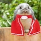 thumbnail image 1 of Ropa De Navidad Para Mascotas, Manto Rojo De Gato, Mascota Resistente Al Desgaste Para Conejo ANGGREK Otros, 1 of 8