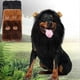 thumbnail image 1 of Lion Mane for Dog, Realistic & Funny Lion Mane for Dogs, Dog Lion Mane Costume, Realistic Mane with Ears for Small Medium Large Dogs, Pet Halloween Co, 1 of 4