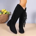 thumbnail image 2 of Winter Fringe Chunky Heel Long Boot Fashion Slip On Suede Retro Tassel Boots Women's Pionted Toe Shoes Women Western Cowboy Boot, 2 of 6