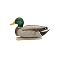 thumbnail image 3 of AVIAN-X Topflight Fusion Mallards Durable Ultra Realistic Floating Hunting Duck Decoys, Pack of 6, AVX8076, 3 of 16