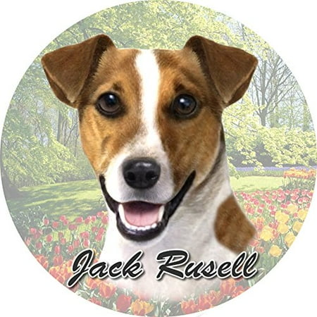 Jack Russell Terrier Coaster - ES Pets Absorbent Stoneware Car Cup Holder Coaster, Jack Russell Terrier