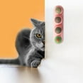 thumbnail image 2 of TIELUTT Licks Licks Kitty Lollipop Hi Hi Toy Catmint Live Chatsworth Rack Chatsworth Rack Shelf Catmint Catswort, 2 of 5