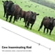 thumbnail image 4 of HERRAMIENTA DE INSEMINACIÓN DE VACAS, Reseado de Corrosión de Acabado Brillante Operación Fácil 304 Varilla Inseminante Artificial de Acero inoxidable para granja doméstica, 4 of 7