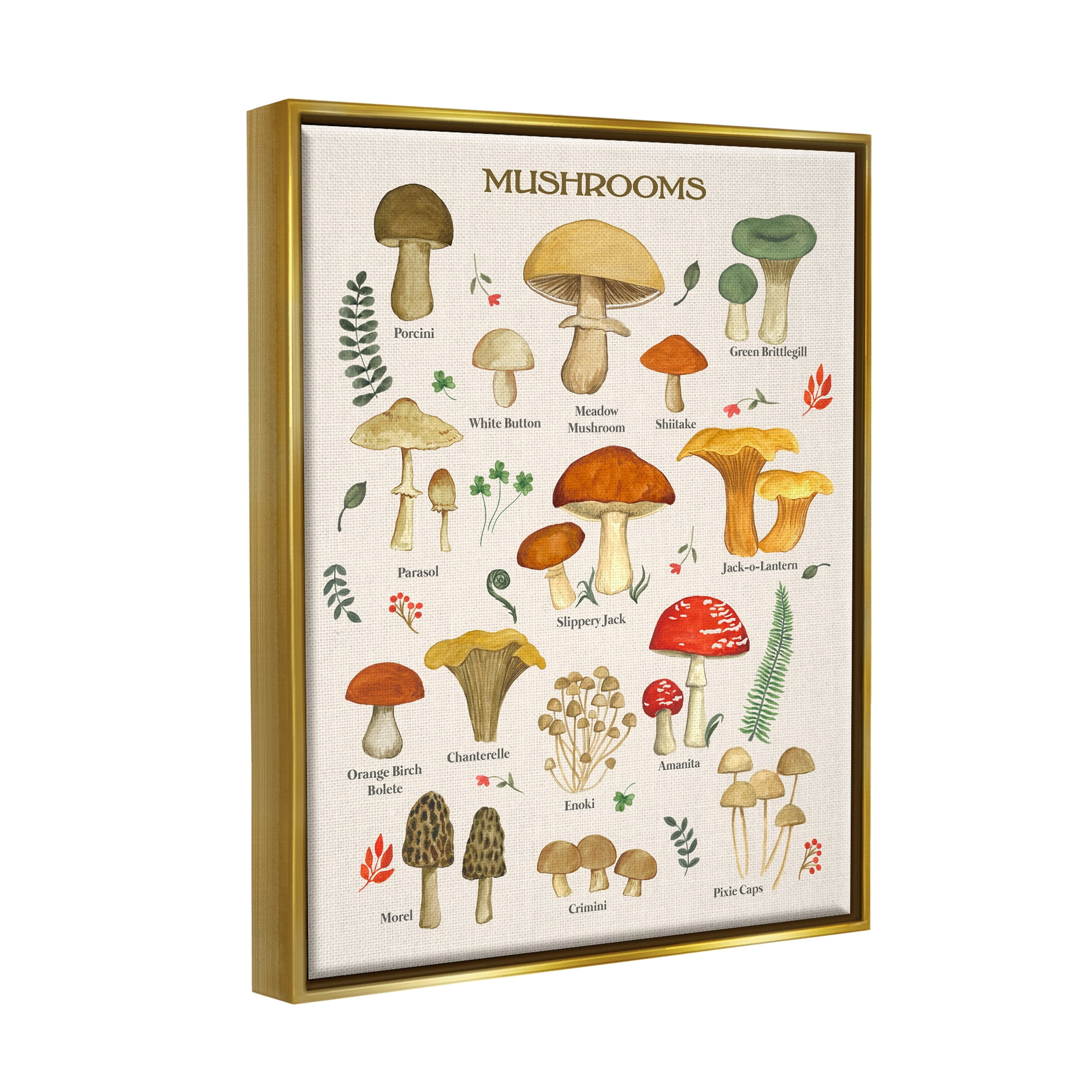 Stupell Industries Foraging Mushrooms Studies Botanical & Floral Painting Gold Floater Framed Art Print Wall Art, 17 x 21