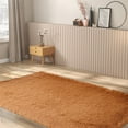 thumbnail image 4 of Boreal Craft 39×63in Soft Floor Carpet Home Modern Area Rug With Non Bottom Machine Washable Floor Mat Carpet For Bedroom Living Room Throw Blanket Fall Color Throws for Bed Soft Rug for Knot Thrown, 4 of 7