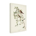 thumbnail image 2 of John James Audubon 'Lesser Red Poll' Canvas Art, 2 of 3