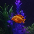 thumbnail image 1 of Acuario Peces Luminosos, Acuario Artificial Peses Artificiales, 4 piezas con 4 pianas de succión para peces de acuario, 1 of 7