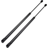 ECCPP Rear left and right Window Glass Lift Support Fit for 2002-2006 for Chevy Trailblazer EXT 2002-2006 for GMC Envoy XL Replaces 4575 PM2049 2pcs