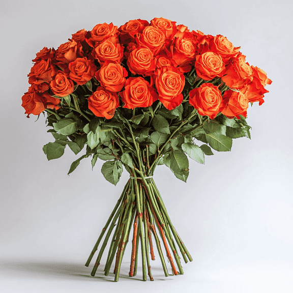 Globalrose Fresh Cut Flowers 50 Orange Roses, Beautiful Bright Blooms