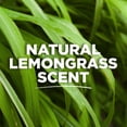 thumbnail image 3 of Tom's of Maine Long-Lasting Aluminum-Free Natural Deodorant for Women, Lemongrass, 2.25 oz, 3 of 8