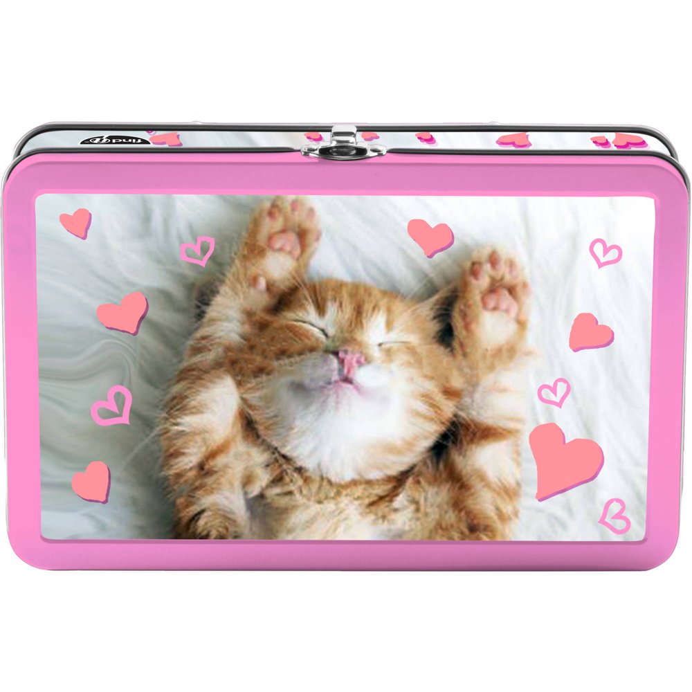 Tin Pencil Box, Kitten