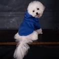 thumbnail image 5 of Ropa para perros de color sólido de otoño e invierno, ropa cálida con forro polar para mascotas, ropa polar para perros grandes, 5 of 5