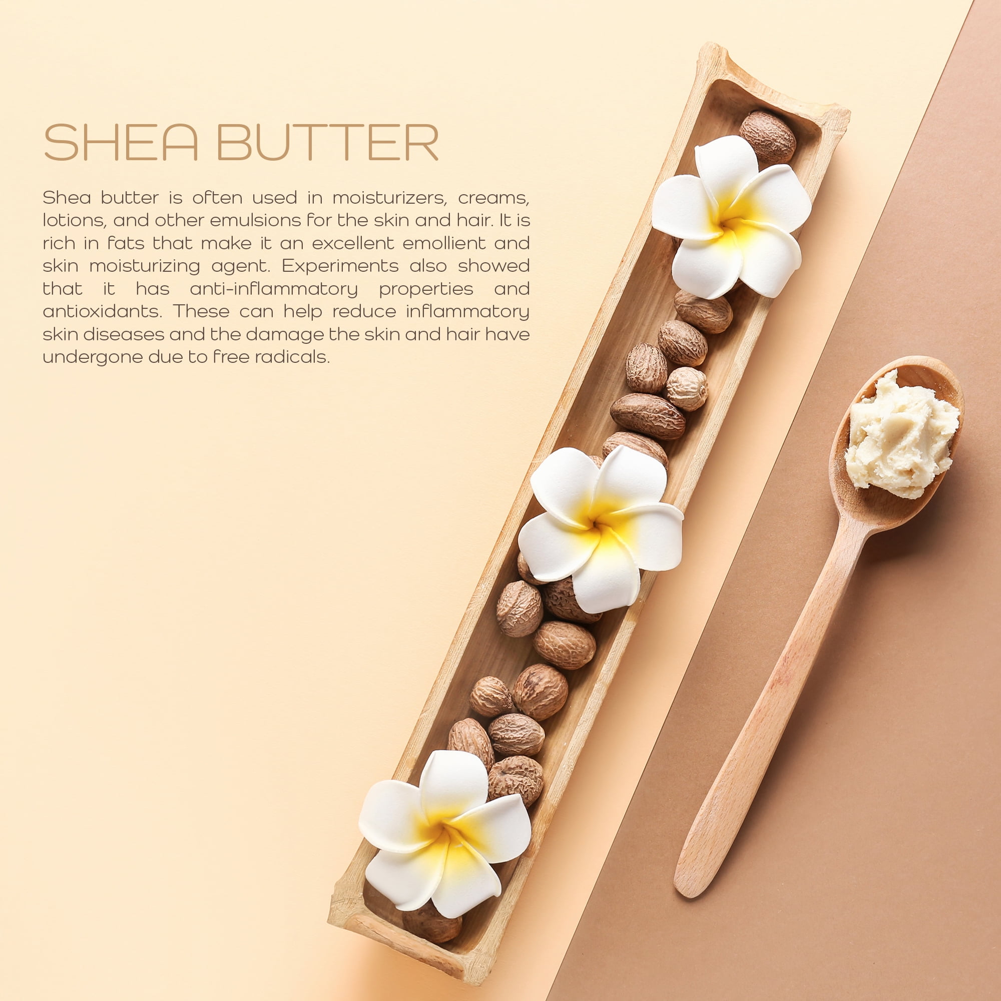 Shea Butter Organic - Premium Shea Butter 1 Pound (454 grams)