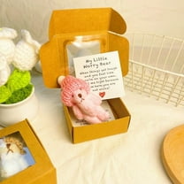 Handmade Mini Plush Teddy Bear in Box, Little Bear in A Box, My Little Worry Bears, Mini Pocket Bears Hug Plush with Support Card, Soft Handmade Teddy Keepsake for Lovers