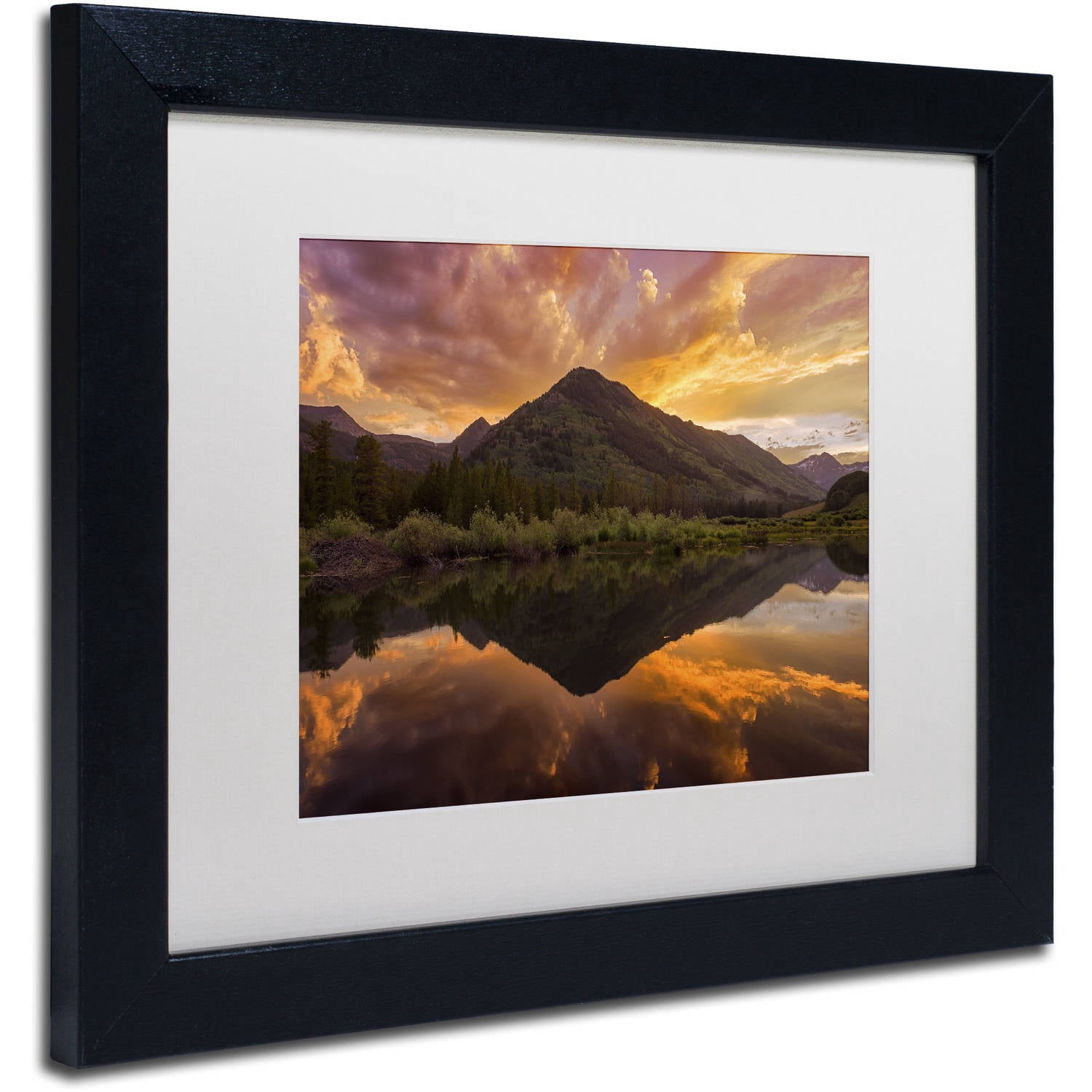 Trademark Fine Art "Orange Majesty" Canvas Art by Michael Blanchette Photography White Matte, Black Frame