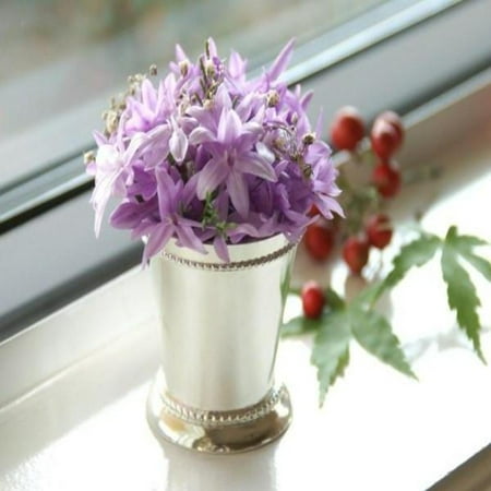 Julep Cup (BalsaCircle 2-Inch tall Silver Metal Small Mint Julep Cup Mini Vase - Centerpieces Table Top Wedding Party Catering)