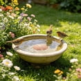 thumbnail image 1 of Outdor Copper Disc Bird Bath For Bird Feeders Brass Water Basin Cleaning Disk For Outdoor Bird Bath Bird Feeders For Outdoor Use Copper Bird Bath Cleaner With Protective Coating, 1 of 5