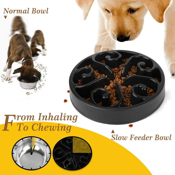 Slow Feeder Dog Bowl Small Dogs