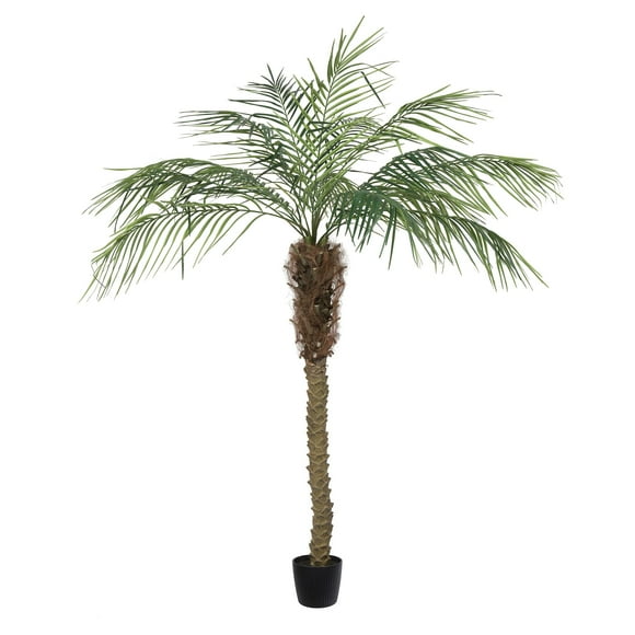 Vickerman Everyday Artificial Phoenix Palm Tree 6 Foot Tall for Indoor Use Home Office Christmas Holiday Tropical Decoration Design Your Tropical Oasis