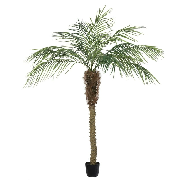 Vickerman Everyday Artificial Phoenix Palm Tree 6 Foot Tall for Indoor Use Home Office Christmas Holiday Tropical Decoration Design Your Tropical Oasis