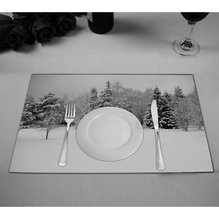 

ABPHQTO The Winter Trees At Park Placemat 12x18 Inch Set of 2 Table Placemats