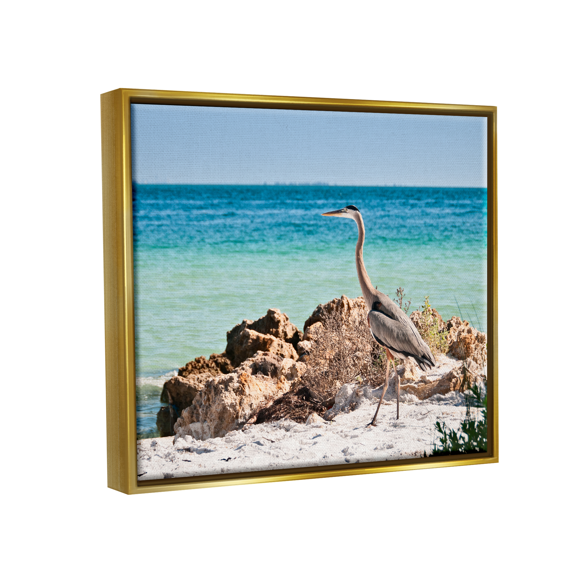 Stupell Industries Heron Watching Ocean Animals & Insects Photography Gold Floater Framed Canvas Art Print Wall Art, 21 x 17