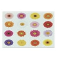 thumbnail image 1 of Gerber Daisy Cutting Board, Various Colorful Petals on Plain Backdrop Summer Flora Romance Print, Decorative Tempered Glass Cutting and Serving Board, in 3 Sizes, by Ambesonne, 1 of 2