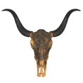 thumbnail image 1 of AFD Home 12007216 Skull Wall Decor, Multi Color, 1 of 1
