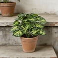 thumbnail image 2 of Deeceymbur Artificial Potted Plants Set of 2 Small Faux Plants in Pots Greenery Desk Decor for Home Office Indoor Outdoor Decorative Foliage, 2 of 6