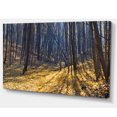 thumbnail image 2 of Thick Autumn Forest Woods - Oversized Forest Canvas Artwork, 2 of 3